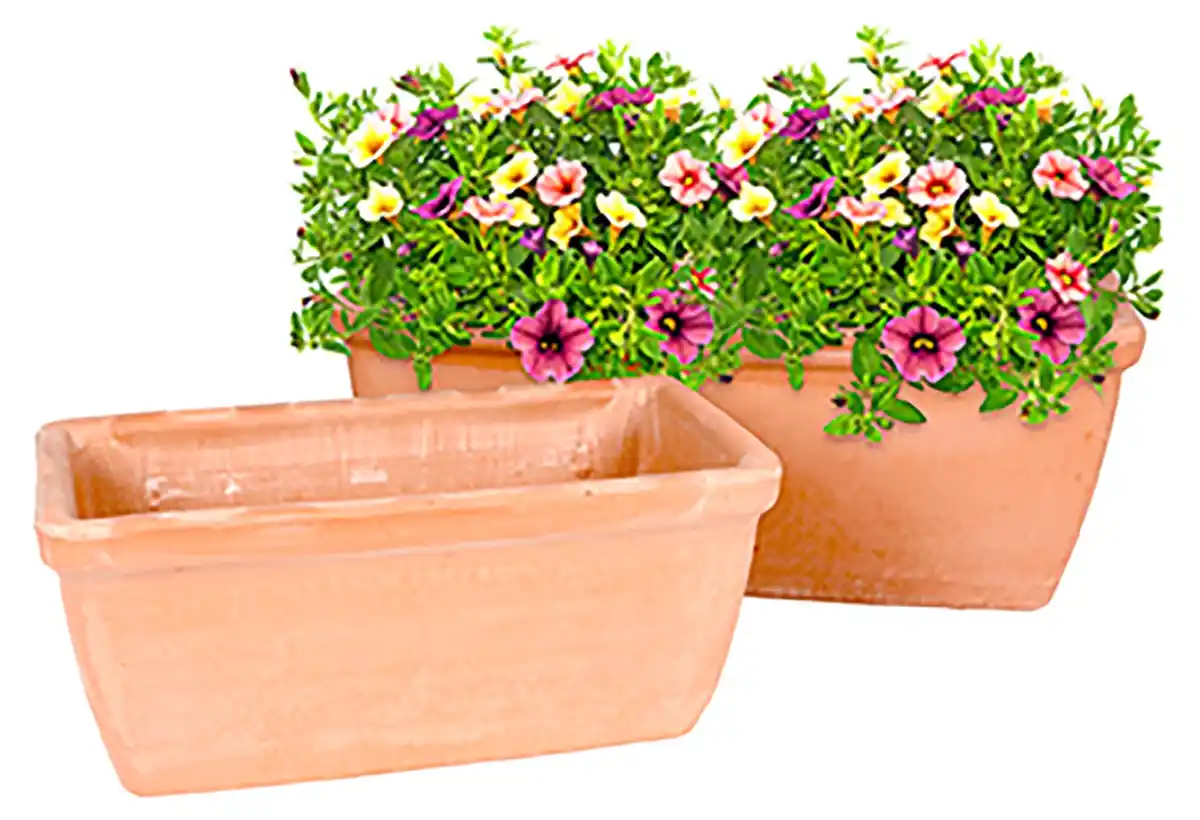 Bild 1 von Terrakotta-Pflanzkasten Terrakotta-Pflanzkasten