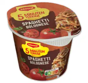 MAGGI 5 Minuten Terrine*
