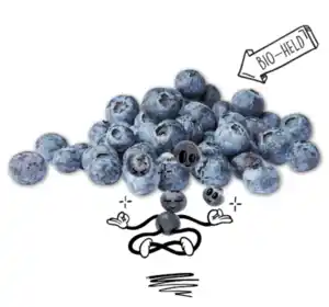 NATURGUT Bio-Heidelbeeren