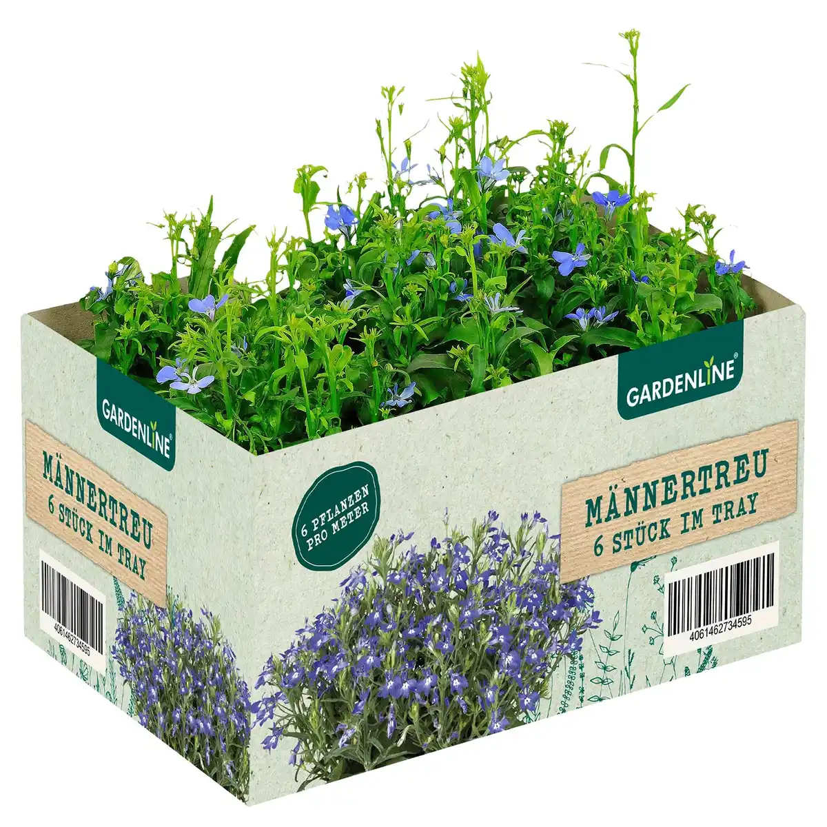 Bild 1 von Balkon- und Kübelpflanzen