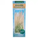 Bild 1 von GARDENLINE Teichpflanzen & Gräser