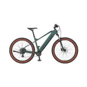 E-Mountainbike Dice 1.3