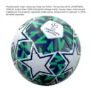 Bild 4 von UEFA Champions League 2025 Fußball