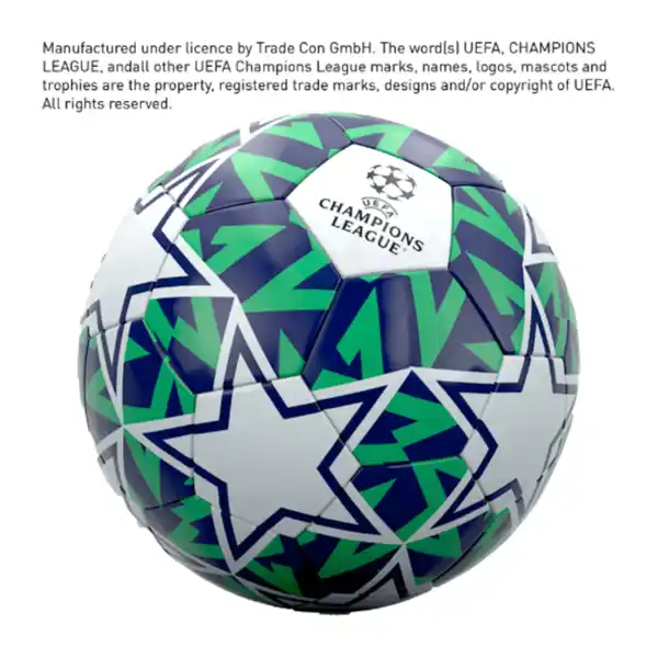 Bild 4 von UEFA Champions League 2025 Fußball