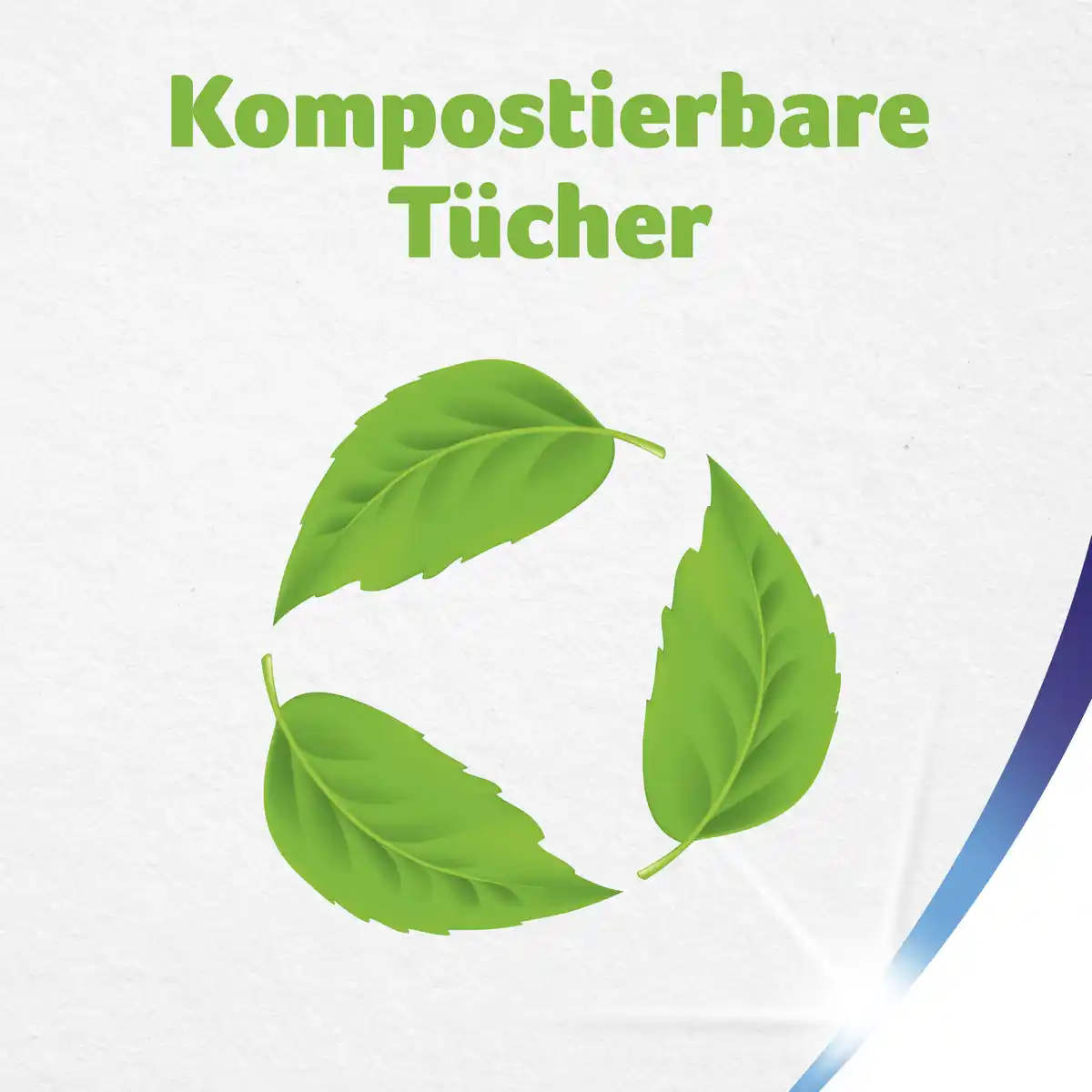 Bild 4 von Zewa Haushaltstücher Wisch & Weg Reinweiß XXL-Pack