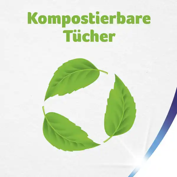 Bild 4 von Zewa Haushaltstücher Wisch & Weg Reinweiß XXL-Pack