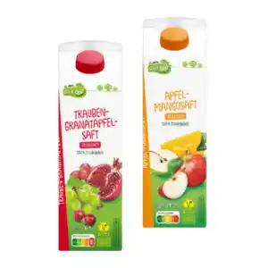 GUT BIO Bio-Direktsaft 1L