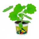Bild 3 von GARDENLINE Gemüsepflanze