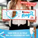 Bild 4 von Ferrero Kinder Riegel 48er Megariegel, 1.008 g