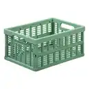 Bild 1 von Faltbox, Small, Rosemary Green