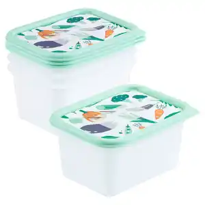 CROFTON Tiefkühldosen-Set