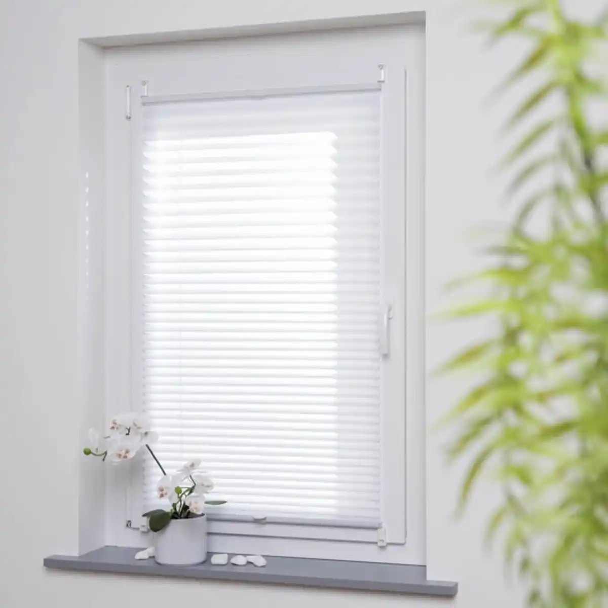 Bild 3 von Klemmfix Plissee »Easy«, weiß, verspannt