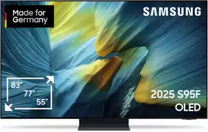 GQ65S95FAT 163 cm (65") OLED Vision AI Smart TV titanschwarz / F