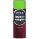 Bild 1 von Sprühlack, gelbgrün RAL 0714, hochglänzend, 400ml