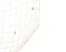 Bild 3 von Deko-Fischernetz