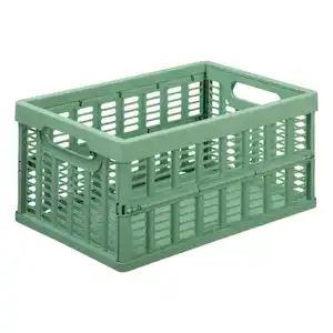Faltbox, Medium, Rosemary Green