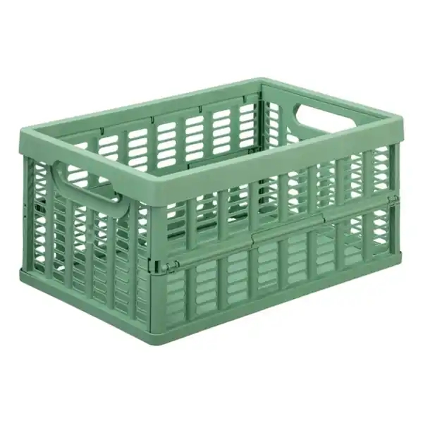 Bild 1 von Faltbox, Medium, Rosemary Green