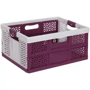 Klappbox »Lea«, 32 l, nordic red