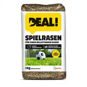 Rasen, Rasensamen Spielrasen 1,0Kg Beutel für 30 m2