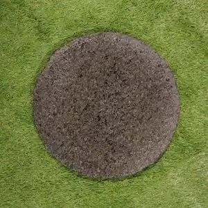 Trittstein Carbon Black 30 x 3 cm grau