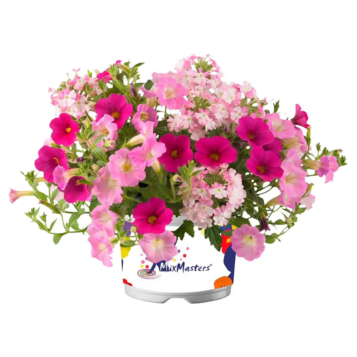 Bild 1 von GARDENLINE Zauberglöckchen