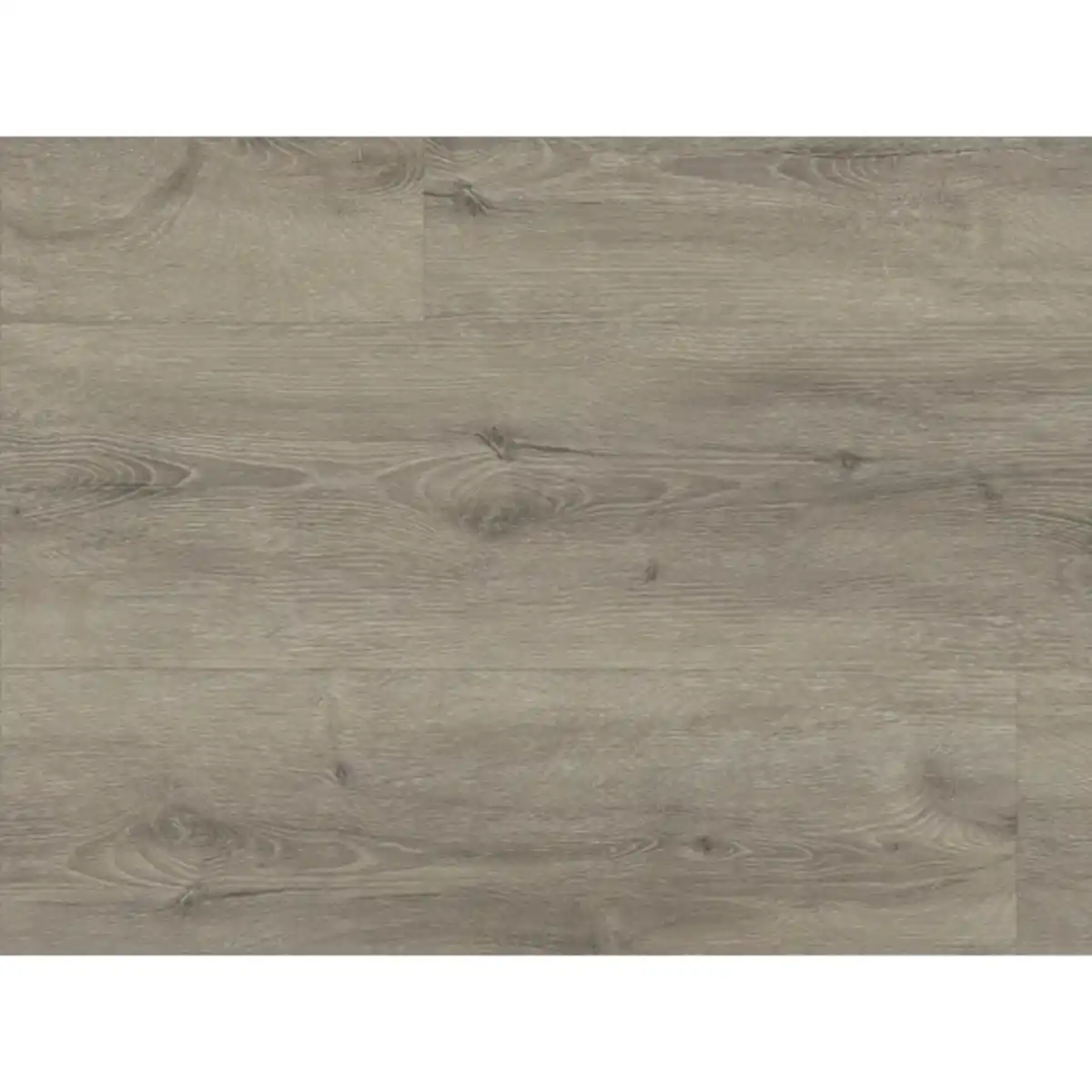 Bild 2 von Vinylboden »RIGID 3.8/0.5«, BxL: 228 x 1220 mm, Eiche, eiche