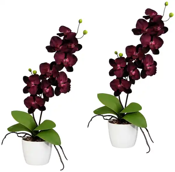 Bild 1 von Kunstpflanze Orchidee Phalaenopsis Orchidee, Creativ green, Höhe 60 cm, im Keramiktopf