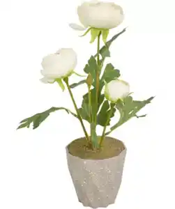 Kunstblume Ranunkel, weiß