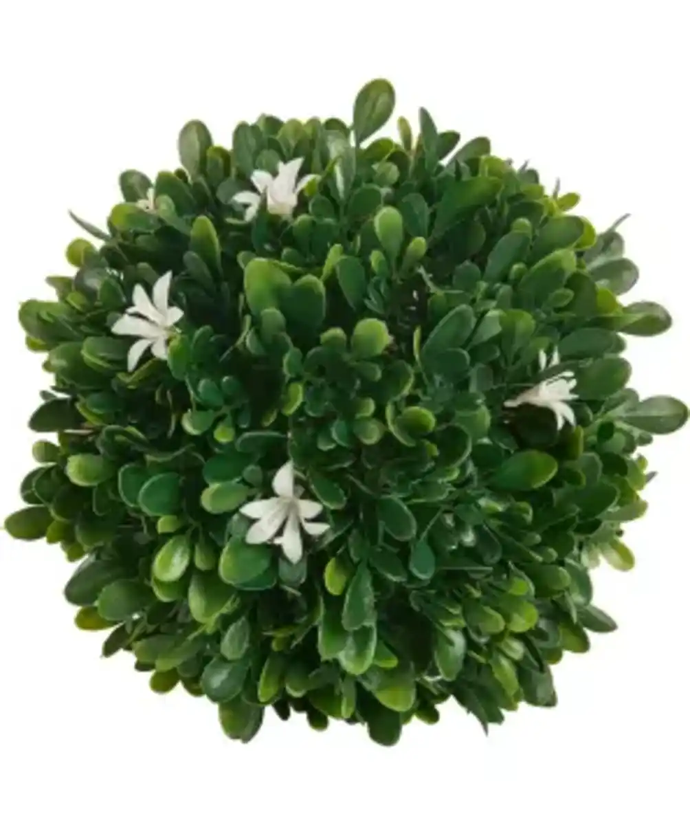 Bild 1 von Kunst-Buchsbaum, weiß