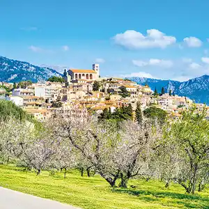 Zauberhafte Mandelblüte auf Mallorca