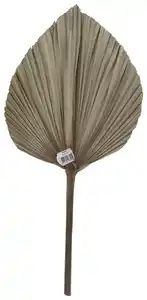 Dekoblatt Leaf in Naturfarben, Naturfarben