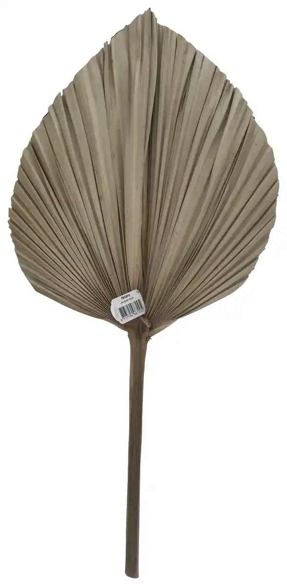 Bild 1 von Dekoblatt Leaf in Naturfarben, Naturfarben