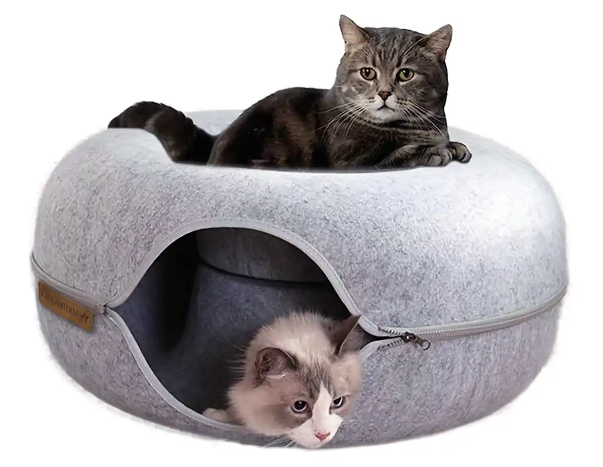 Bild 1 von Katzentunnel