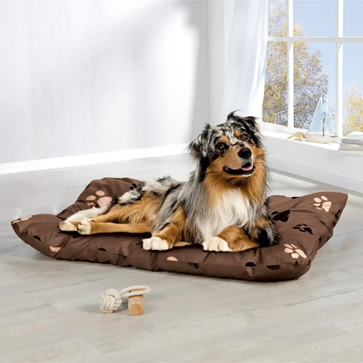 Bild 1 von Roy Haustier-Liegekissen "Lupo"