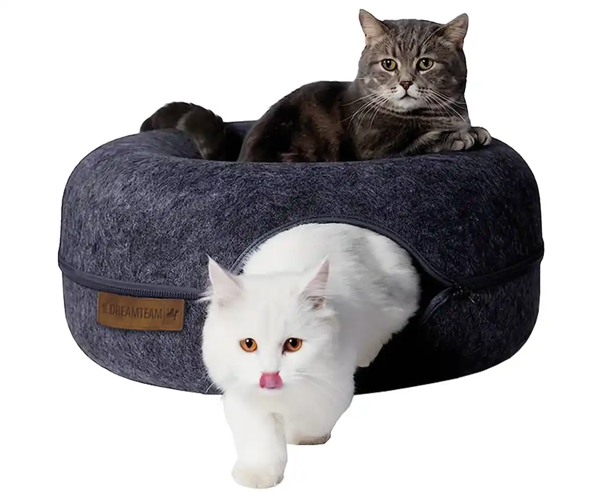 Bild 2 von Katzentunnel