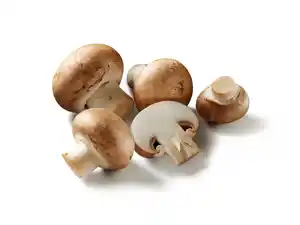 Braune Bio Kulturchampignons,  250 g