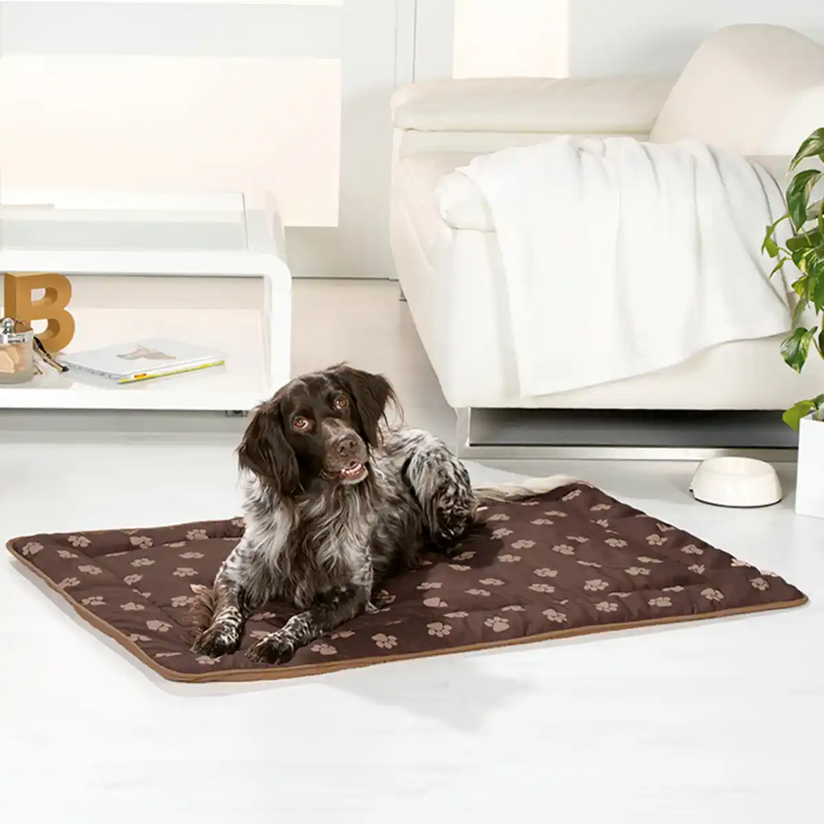 Bild 1 von Roy Hygiene-Tierliegekissen