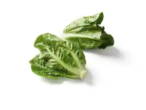 Mini Romana Salat,  2 Stu