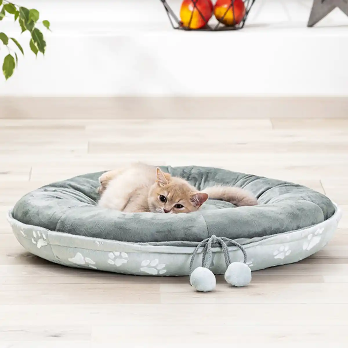 Bild 1 von Cat Bonbon Haustier-Bettchen "Sweet Dreams"