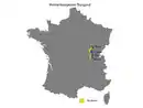 Bild 2 von Bourgogne Pinot Noir AOP trocken, Rotwein 2023