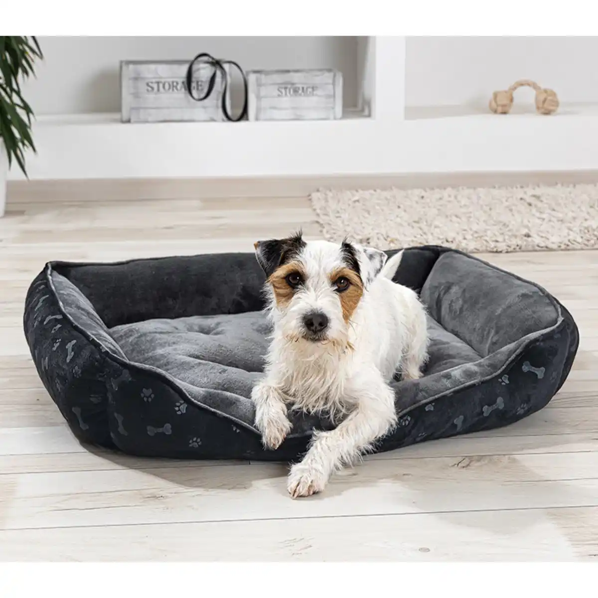 Bild 1 von Roy Haustier-Körbchen "Falco"