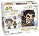 Bild 1 von Funko - POP! - 2024 Exclusive Box - July - Harry Potter - Assembled, 1 Stk