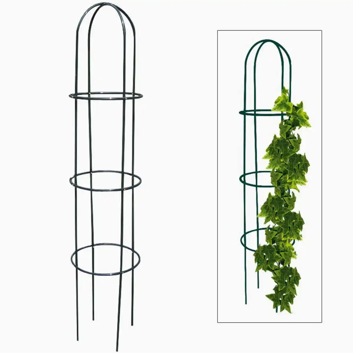 Bild 1 von Grüner Jan Metall-Rankobelisk 40x200cm