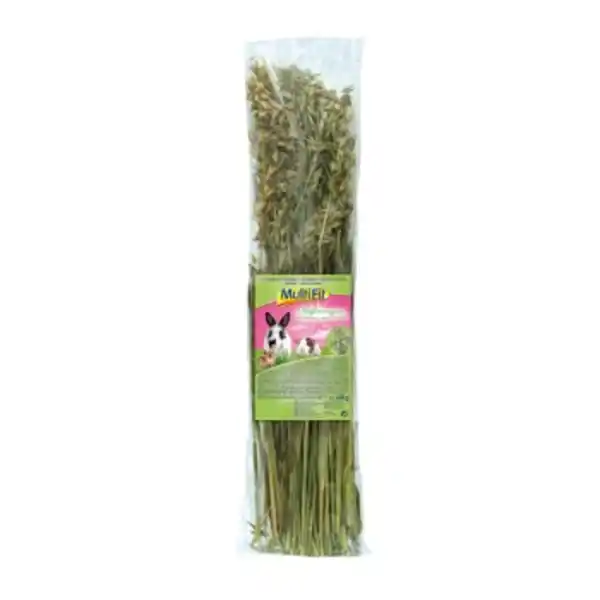Bild 1 von MultiFit Haferrispen 120 g