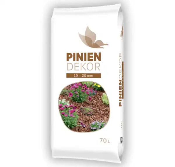 Bild 1 von Piniendekor