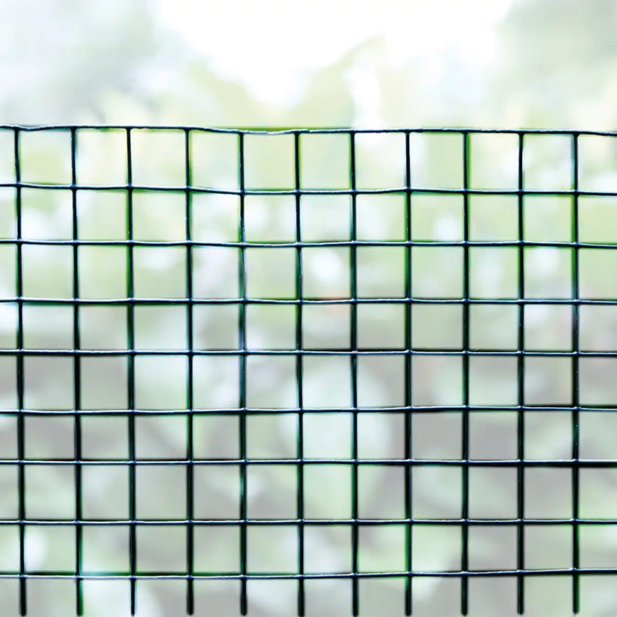 Bild 2 von Drahtgitter PVC-ummantelt, ca. 5 x 1 m