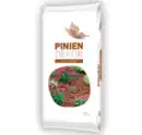 Bild 1 von Piniendekor