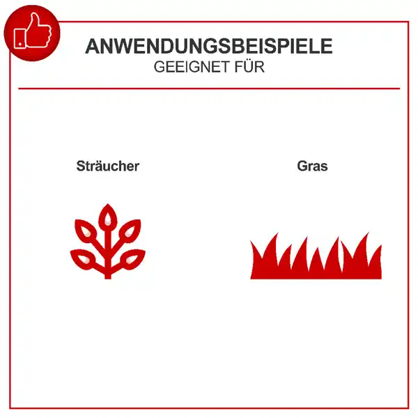 Bild 2 von 2in1 Akku Gras- und Strauchschere