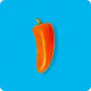 Bild 1 von   Snack-Paprika, Ursprung: Niederlande / Spanien / Marokko