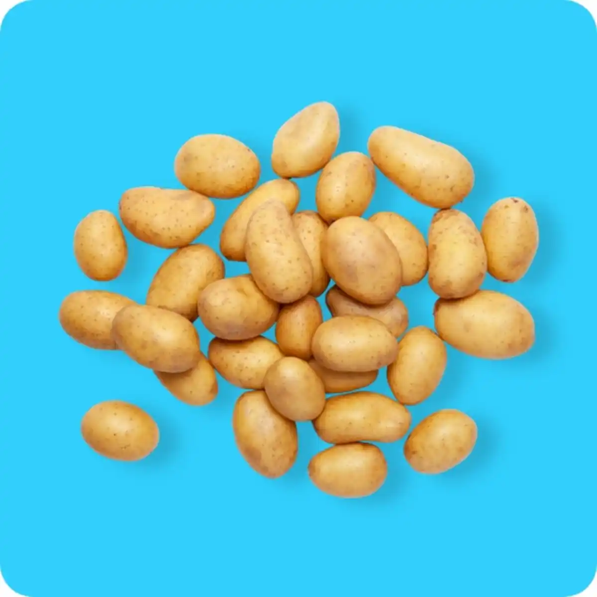 Bild 1 von   Speisefrühkartoffeln Spargelkartoffeln, Ursprung: Spanien / Portugal / Ägypten / Israel